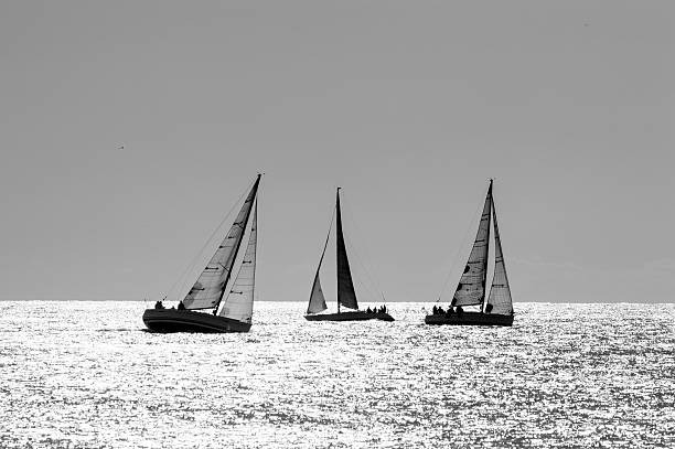 istock boat race on sea sunset in black and white 625165116