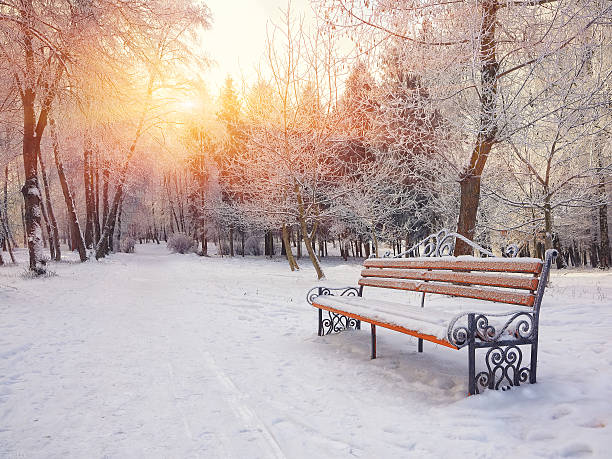 istock Park bench and trees covered by heavy snow 625165178