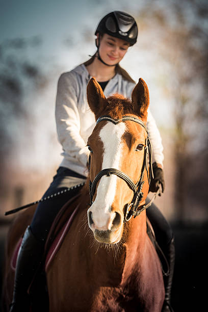 istock Young girl riding a horse 625165766