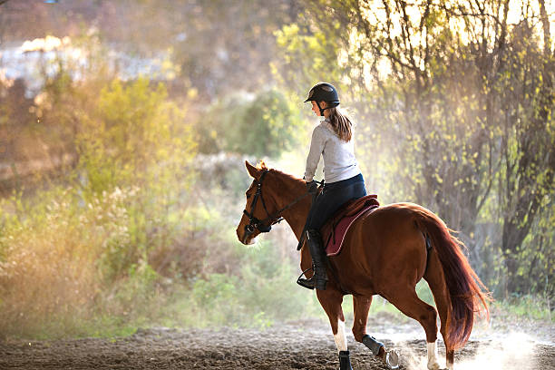 istock Young girl riding a horse 625167020