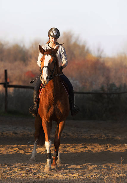 istock Young girl riding a horse 625167268