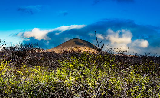 The beautiful nature of the Galapagos