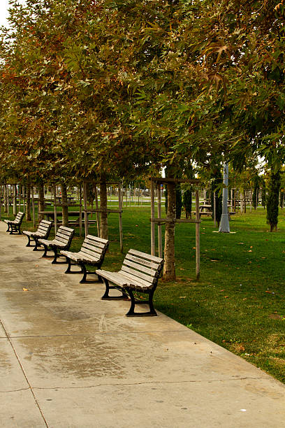 istock The alley with benches on the empty park 625191122