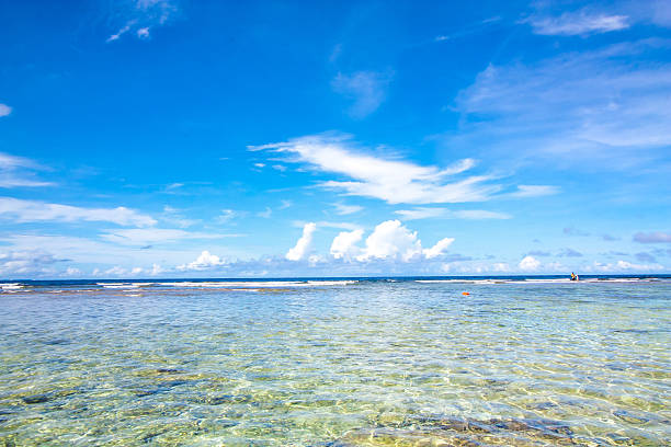 The beautiful sea