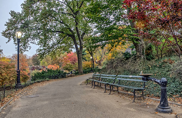 istock Gapstow bridge Central Park, New York City 625192914