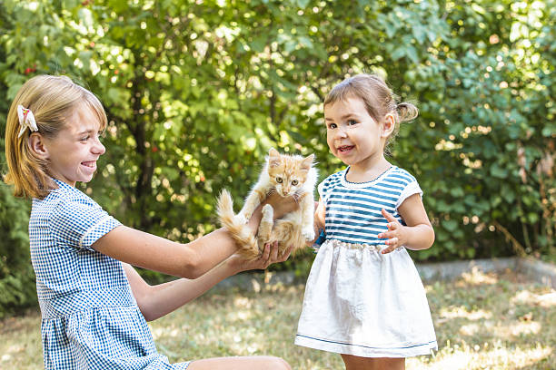 istock Girl play with kitten 625193620