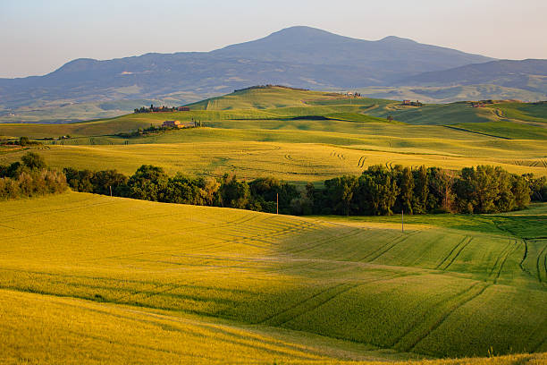 istock Landscape in Tuscany 625193962