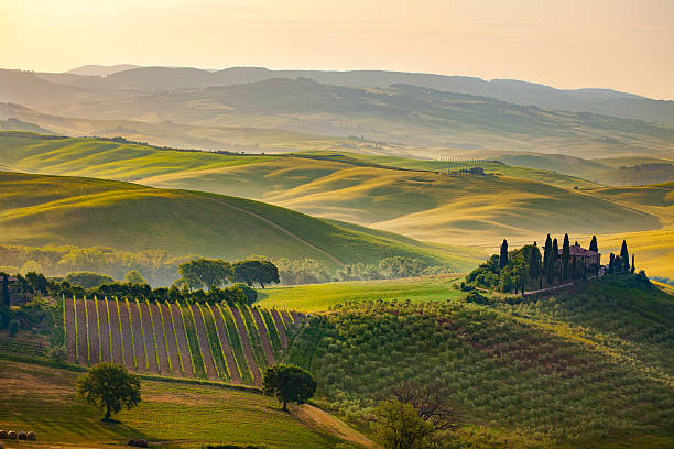 istock Landscape in Tuscany 625194412