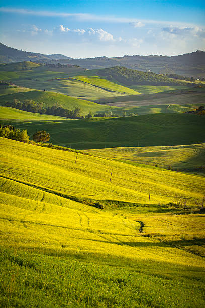 istock Landscape in Tuscany 625195250