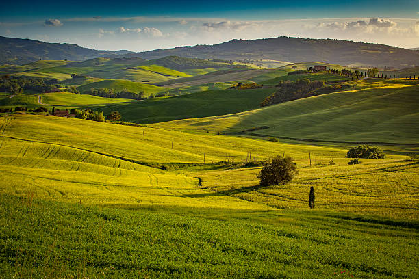 istock Landscape in Tuscany 625195556