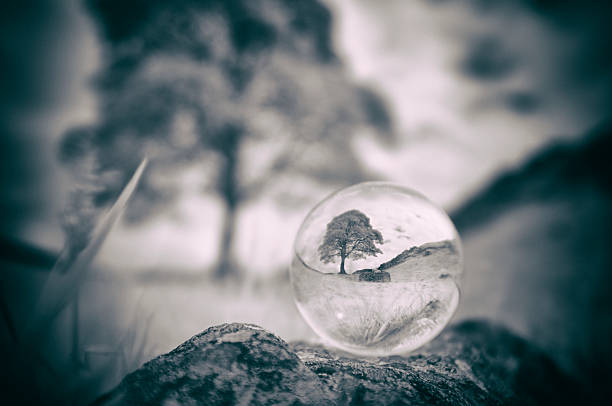 Crystal Ball At Hadrian's Wall A crystal ball reveals the famous tree at Sycamore Gap, one of the iconic sites of Hadrian's Wall (and also famous for starring as a tree in the 1991 film Robin Hood: Prince of Thieves). silhouette of a sycamore tree stock pictures, royalty-free photos & images