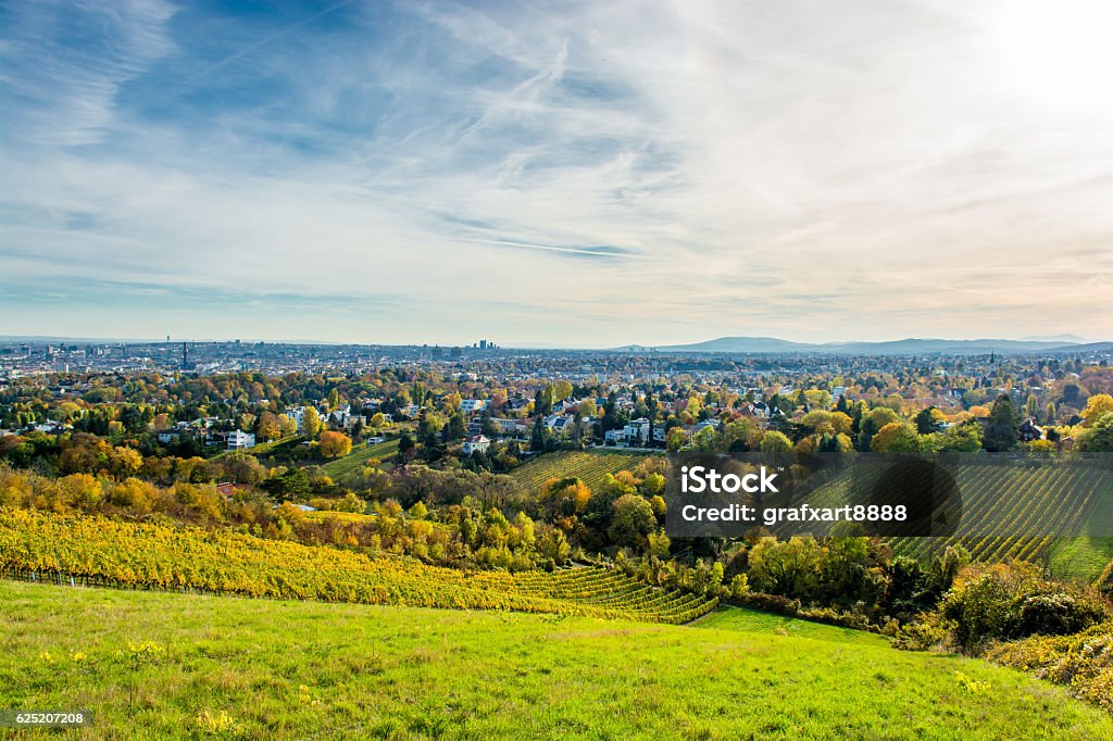 Vineyard in Autumn and the Skyline of Vienna in Austria City Stock Photo