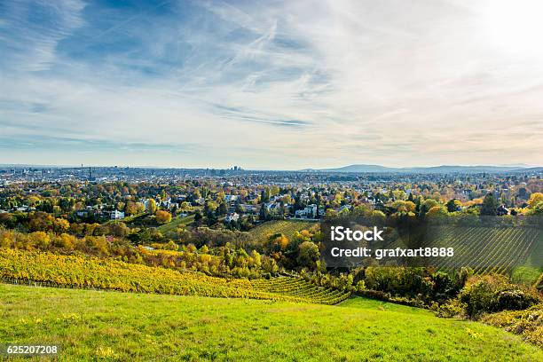 Vineyard In Autumn And The Skyline Of Vienna In Austria Stock Photo - Download Image Now