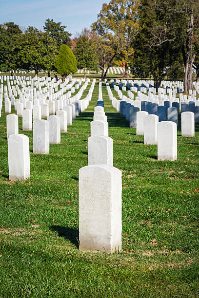 istock Single Closeup Gravestone Texture Surface Arlington National Cem 625208828