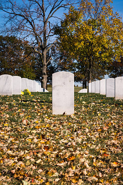 istock Single Closeup Gravestone Texture Surface Arlington National Cem 625208950