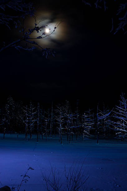 istock The night lake which was lighted up and moon 625209684