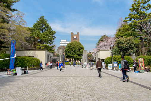 Tokyo, Japan - Mar 31, 2016: Students go to the University of Tokyo as new academic year starts in April.