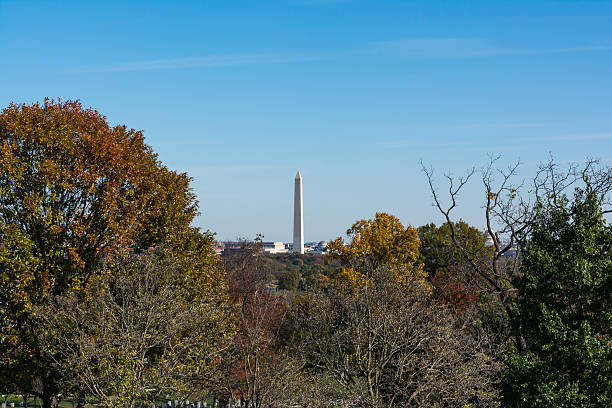 istock Washington Monument from Arlington Cemetery Trees Autumn Park Ou 625232430