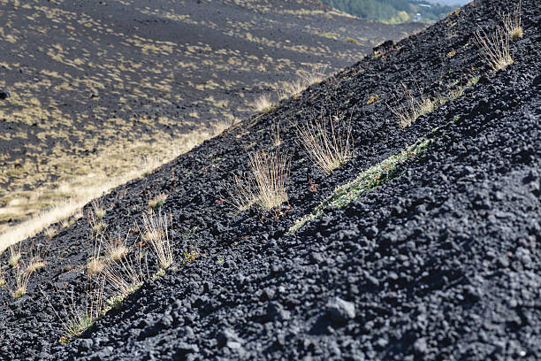 Cratère de l’Etna et paysage volcanique autour de l’Etna, Sicile, It - Photo