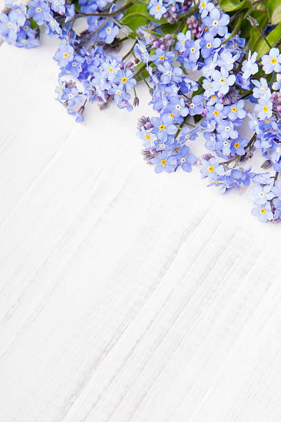 istock blue flowers frame on white wooden background 625232566