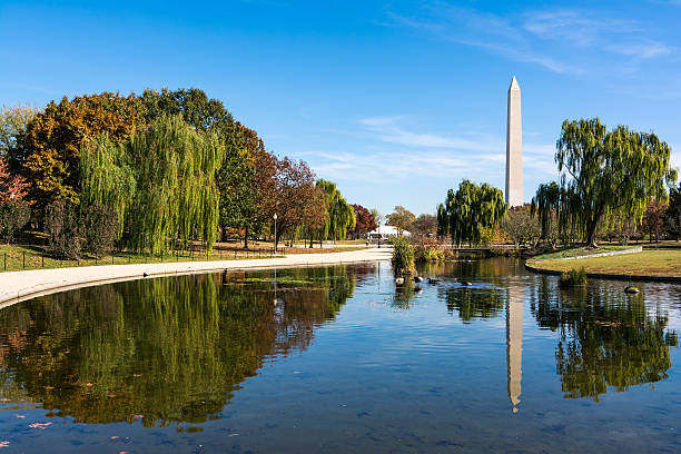 istock Washington Monument Natural Landscape Constitution Gardens Grass 625233334