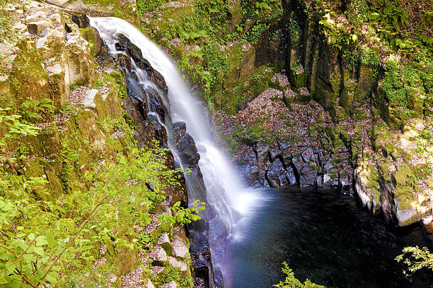 istock Akame Falls in Mie, Japan 625235992