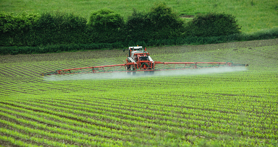 Tractor spraying newly sown crops