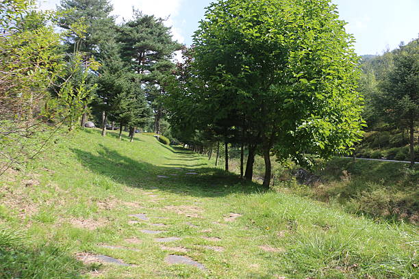 istock Midongsan Arboretum 625239584