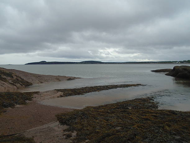 istock Bay of Fundy Low Tide 625240576