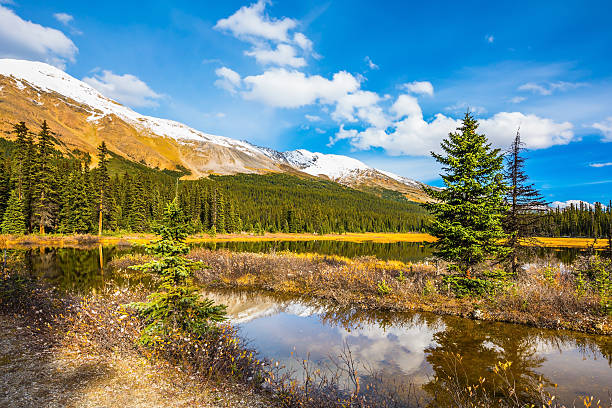 istock The boggy valley in the Rocky Mountains 625267830