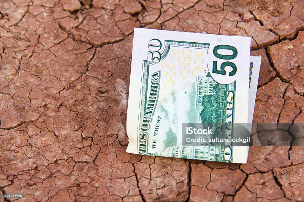Financial growth/Cash Crop American fifty Dollar Bill, US Paper Currency, Dirt, Number 50, Paper Currency Accidents and Disasters Stock Photo