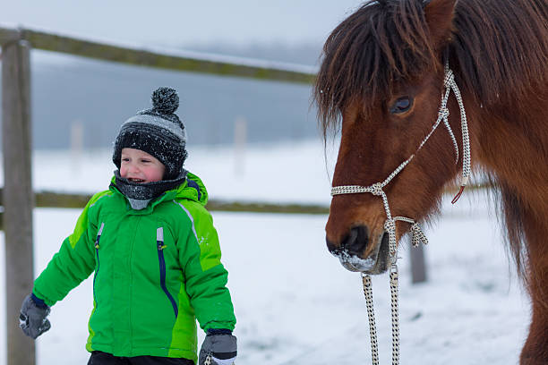istock young boy leading horse in winter, medium shot 625272534