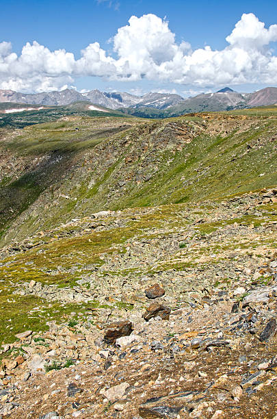 istock Above Timberline in Rocky Mountain National Park 625281916