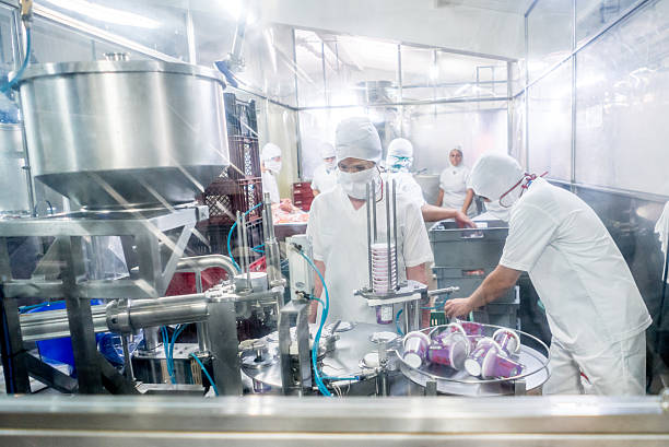 persone che lavorano in una fabbrica di cibo  - stabilimento caseario foto e immagini stock