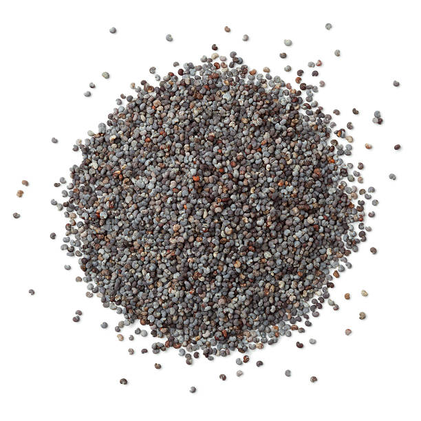 Heap of blue poppy seeds Heap of blue poppy seeds  on white background opium poppy photos stock pictures, royalty-free photos & images