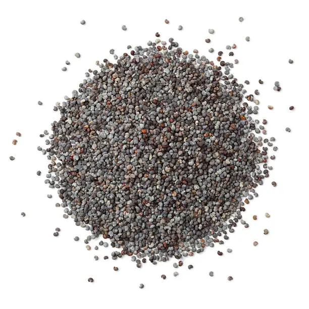 Heap of blue poppy seeds  on white background