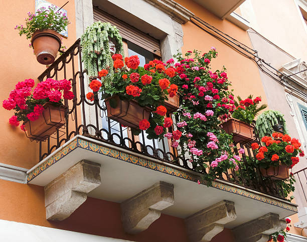 3,100+ Geranium Balcony Stock Photos, Pictures & Royalty-Free Images ...