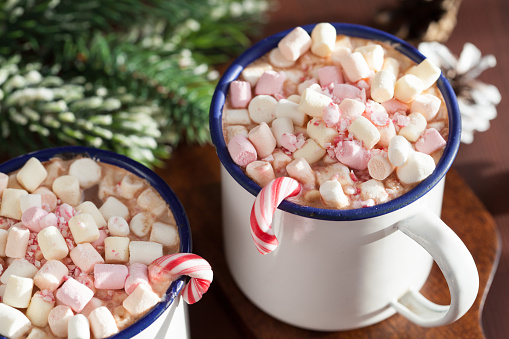 hot chocolate with mini marshmallow candy cane