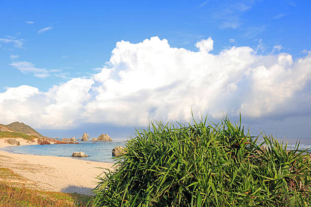 Summer sky and beautiful beach of Okinawa
