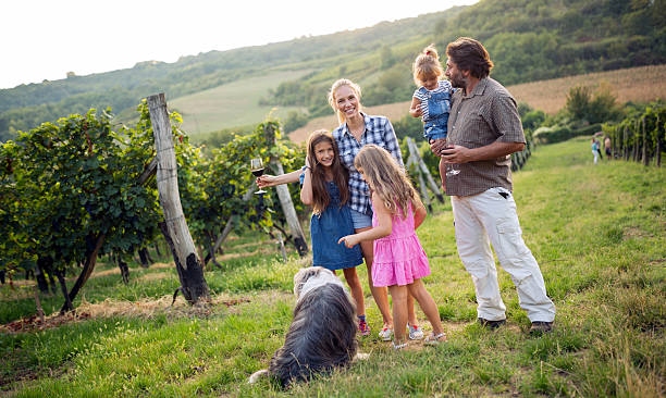 istock Wine grower family tasting wine 625299018
