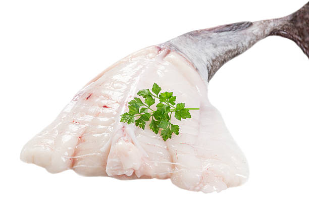 istock picture of monkfish in front  white background 625303672