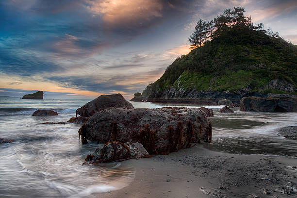 istock Shoreline Beach Scene from Northern California 625306622