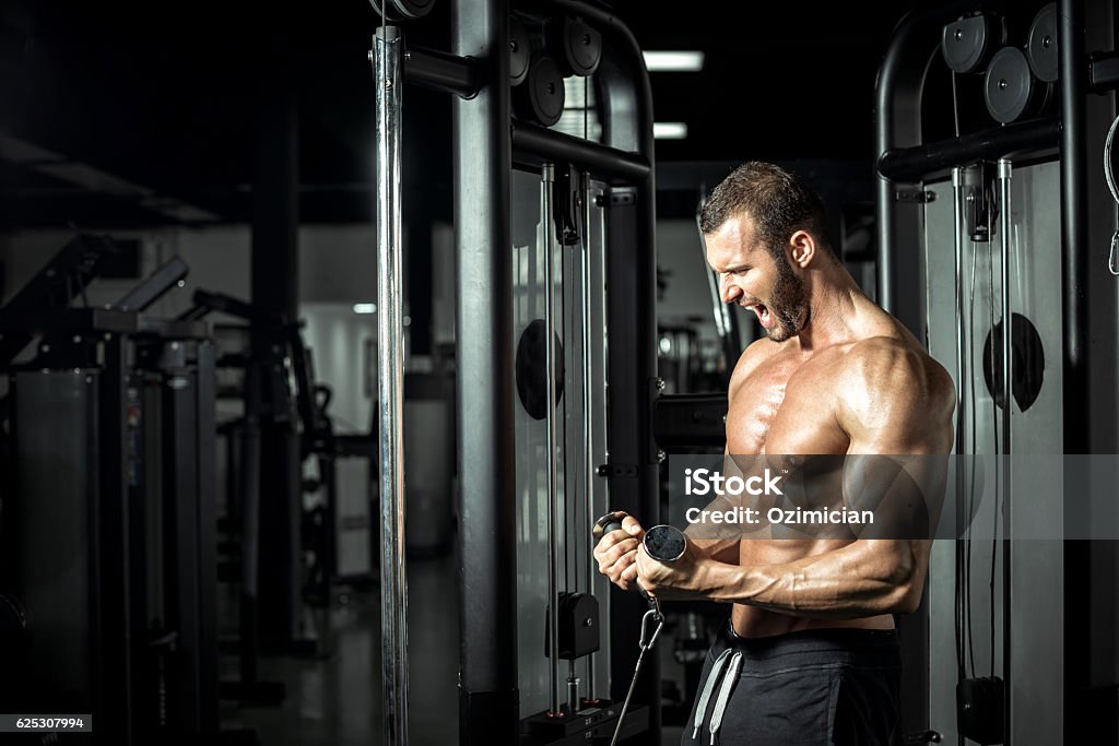 Biceps cable curls in gym Young attractive muscular bodybuilder doing cable biceps curl exercise in modern fitness center. Toned image. Body Building Stock Photo