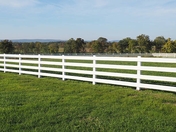 istock white fence by a field 625310140