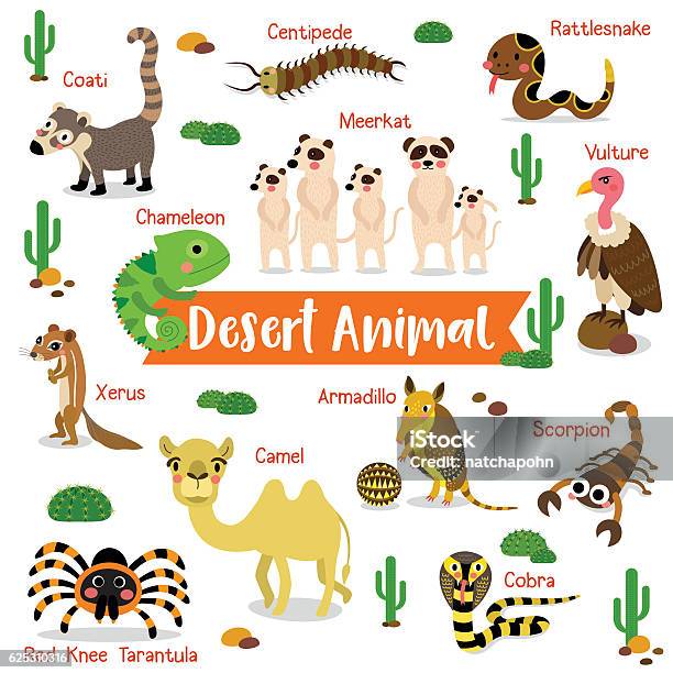 Desert Animal On White Background With Animal Name Vector Illustration -  Arte vetorial de stock e mais imagens de Animal - iStock