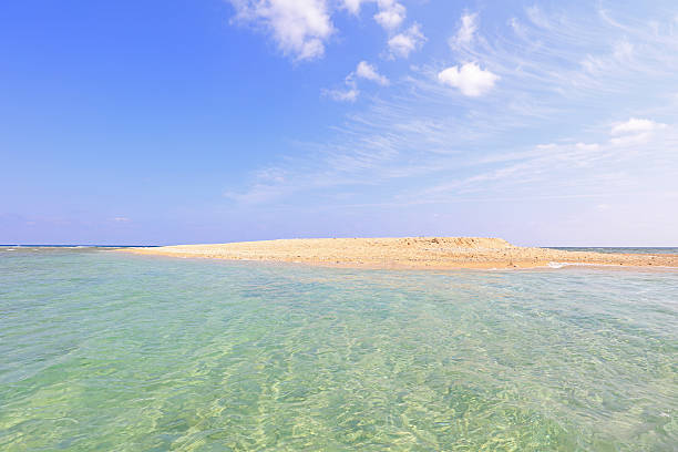 istock Beautiful beach in Okinawa 625314418