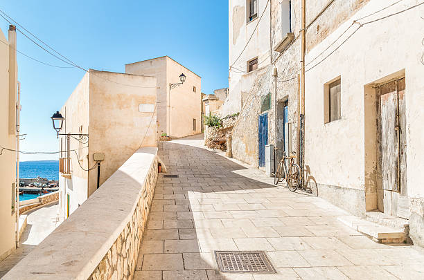 istock Small village on Levanzo island, Italy 625327730