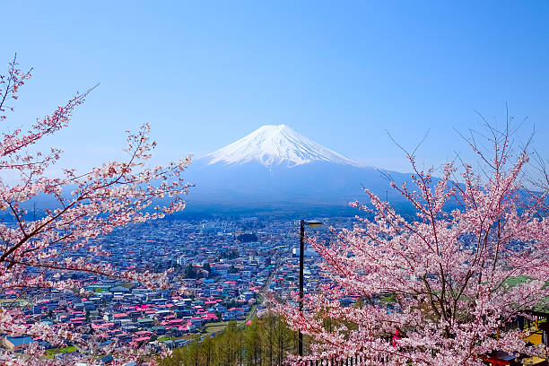 istock Mt. Fuji With Cherry Blossom (Sakura )in Spring, Fujiyoshida, Ja 625329716