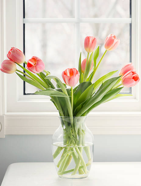 istock Bouquet of tulips in a window 625330196