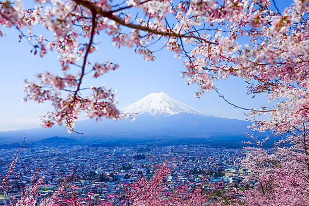 istock Mt. Fuji With Cherry Blossom (Sakura )in Spring, Fujiyoshida, Ja 625330264